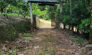 Finca en Venta en Puerto Quito - Ecuador