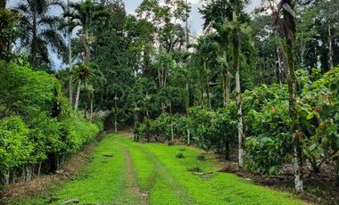 Finca en Venta en Puerto Quito - Ecuador