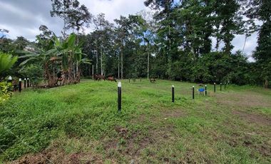 Finca en Venta en Puerto Quito - Ecuador
