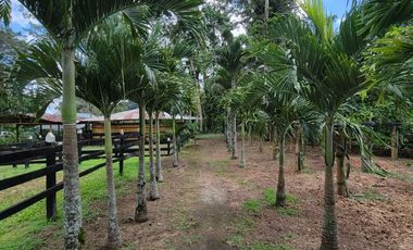 Finca en Venta en Puerto Quito - Ecuador