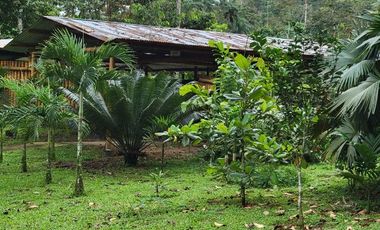 Finca en Venta en Puerto Quito - Ecuador
