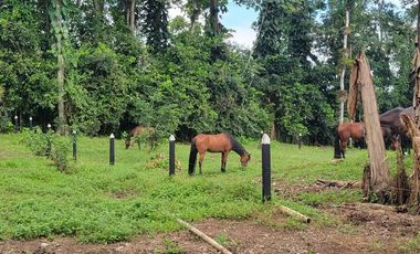 Finca en Venta en Puerto Quito - Ecuador