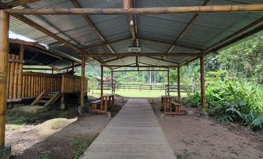 Finca en Venta en Puerto Quito - Ecuador