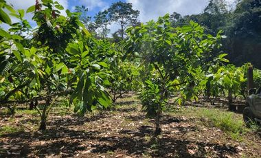 Finca en Venta en Puerto Quito - Ecuador