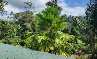 Finca en Venta en Puerto Quito - Ecuador