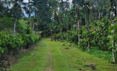 Finca en Venta en Puerto Quito - Ecuador