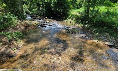 Finca en Venta en Puerto Quito - Ecuador