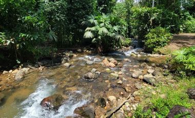 Finca en Venta en Puerto Quito - Ecuador
