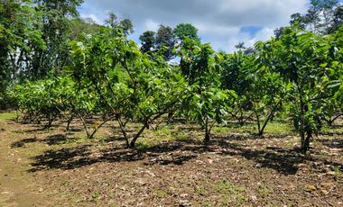 Finca en Venta en Puerto Quito - Ecuador