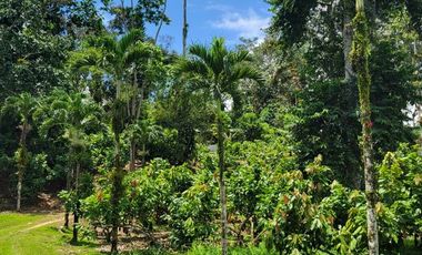 Finca en Venta en Puerto Quito - Ecuador