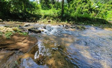 Finca en Venta en Puerto Quito - Ecuador