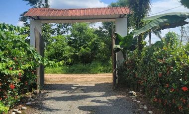 Finca en venta con casa grande a 5 minutos de Puerto Quito Ecuador