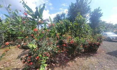 Finca en venta con casa grande a 5 minutos de Puerto Quito Ecuador