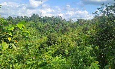 Finca en venta con casa grande a 5 minutos de Puerto Quito Ecuador