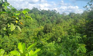 Finca en venta con casa grande a 5 minutos de Puerto Quito Ecuador