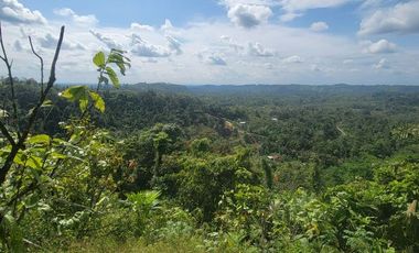 Finca en venta con casa grande a 5 minutos de Puerto Quito Ecuador