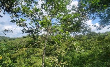 Finca en venta con casa grande a 5 minutos de Puerto Quito Ecuador