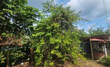 Finca en venta con casa grande a 5 minutos de Puerto Quito Ecuador