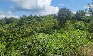 Finca en venta con casa grande a 5 minutos de Puerto Quito Ecuador