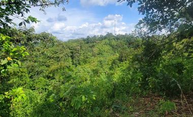 Finca en venta con casa grande a 5 minutos de Puerto Quito Ecuador