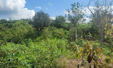 Finca en venta con casa grande a 5 minutos de Puerto Quito Ecuador