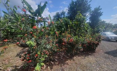 Finca en venta con casa grande a 5 minutos de Puerto Quito Ecuador