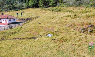 Vendo finca ganadera/cultivo / turística