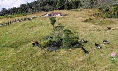 Vendo finca ganadera/cultivo / turística