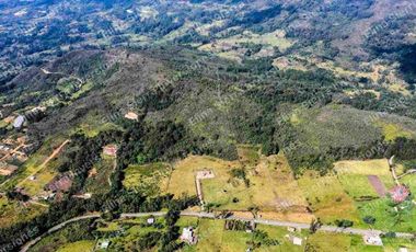 Vendo finca ganadera/cultivo / turística