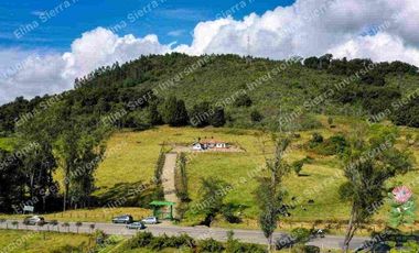 Vendo finca ganadera/cultivo / turística