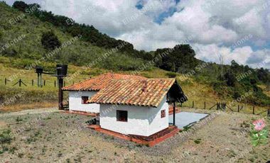Vendo finca ganadera/cultivo / turística
