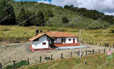 Vendo finca ganadera/cultivo / turística