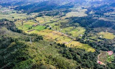 Vendo finca ganadera/cultivo / turística