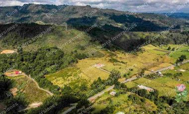 Vendo finca ganadera/cultivo / turística