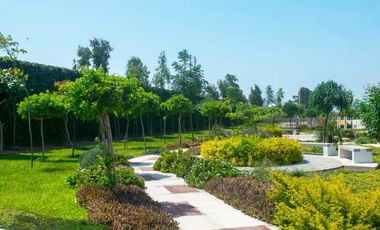 VENTA DE LOTE EN CHILCA