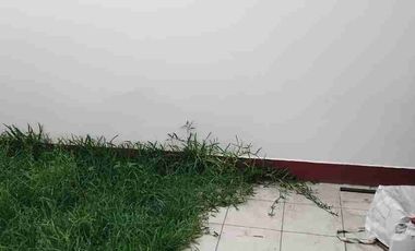 Vendo Dpto tipo casita , Urb .Palomino