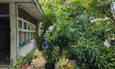 Dijual Rumah Murah dan Strategis di Jalan Utama Luas 353m2 di Jl.Kesehatan Jakarta Pusat