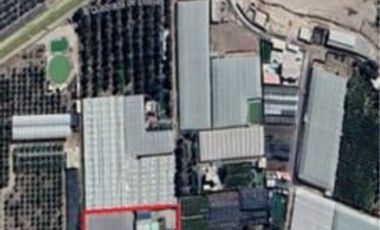 Venta amplia casa en Parcela, Alto Ramirez, Arica