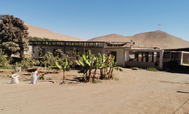 Venta amplia casa en Parcela, Alto Ramirez, Arica