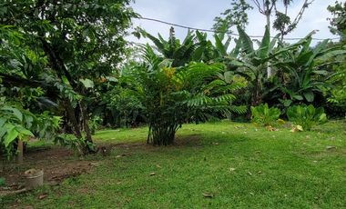 Casa en Venta Amoblada de 100 m2 + 9.600 m2 de terreno- Puerto Quito Junto al Rio Caoni
