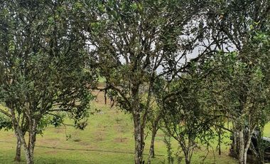 Casa en venta de 180 m² + 1.800 m de Terreno en Pedro Vicente Maldonado - Ecuador
