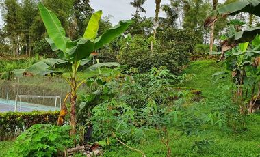 Casa en venta de 180 m² + 1.800 m de Terreno en Pedro Vicente Maldonado - Ecuador