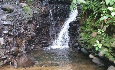 Fincas en venta de 1 HA en Pedro Vicente Maldonado - Ecuador
