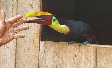 Fincas en venta de 1 HA en Pedro Vicente Maldonado - Ecuador