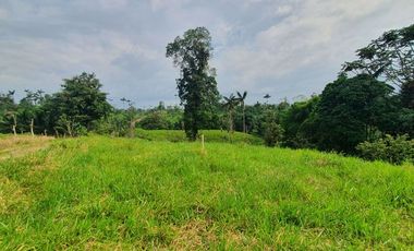 Fincas en venta de 1 HA en Pedro Vicente Maldonado - Ecuador