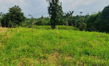 Fincas en venta de 1 HA en Pedro Vicente Maldonado - Ecuador