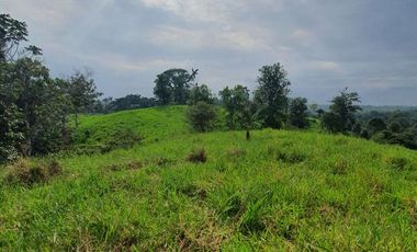 Fincas en venta de 1 HA en Pedro Vicente Maldonado - Ecuador