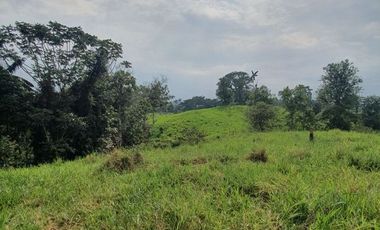 Fincas en venta de 1 HA en Pedro Vicente Maldonado - Ecuador