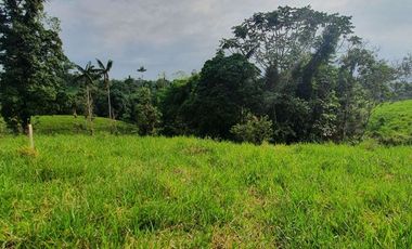Fincas en venta de 1 HA en Pedro Vicente Maldonado - Ecuador