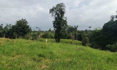 Fincas en venta de 1 HA en Pedro Vicente Maldonado - Ecuador